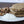 Load image into Gallery viewer, COCONUT CHOCOLATE CHIP - GLUTEN/DAIRY FREE