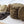 Load image into Gallery viewer, THE SUPER FOOD COOKIE